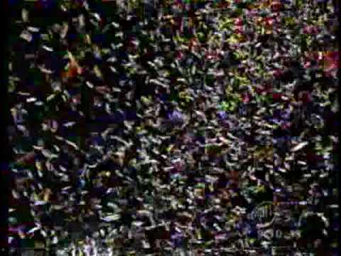 2006 Salaam Bombay  (Golden Crown Fancy Brigade)