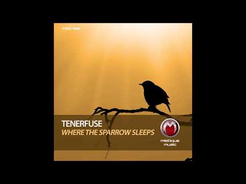 Tenerfuse - Odyssey Of Saola (Original Mix)