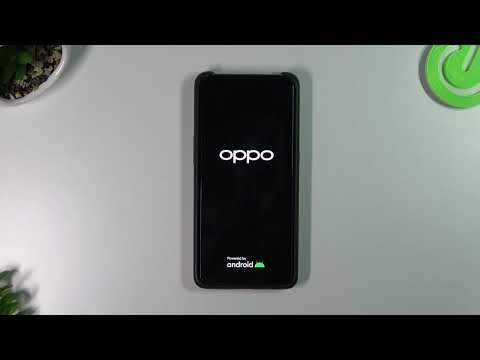 Boot Animation on Oppo Reno 10X Zoom - Boot Process