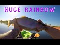 Video Thumbnail for HUGE Rainbow Trout!! / How To Catch Trout Fishing In A Kayak / Small Pond