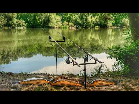 PESCUIT LA CRAP PE NISTRU: O PARTIDĂ REUȘITĂ DUPĂ PROHIBIȚIE 2024