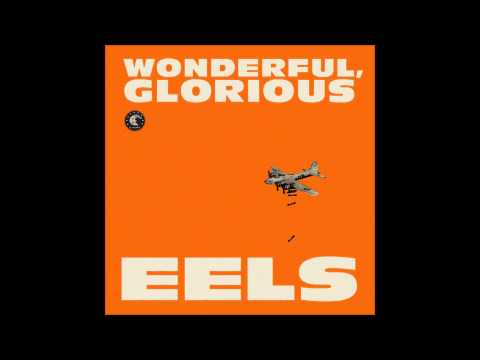 Eels - The Turnaround