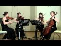 Fleur de Lys Quartet - W.A. Mozart, Eine Kleine ...