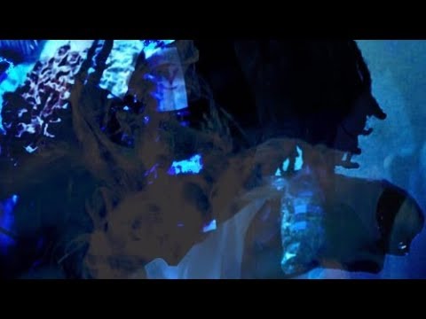 BossManeBray - Big Bail [Prod by DjYoungKash]