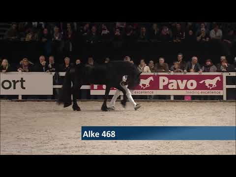 Hengstenkeuring 2018: Rubriek 4