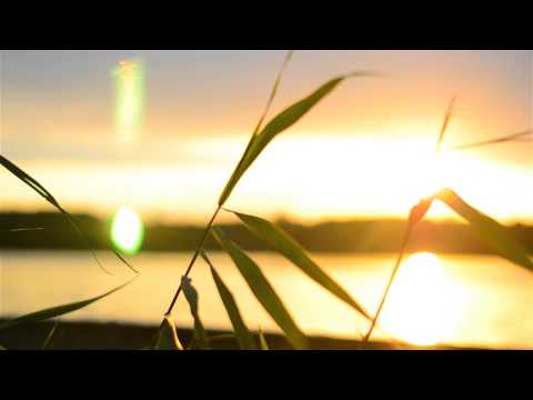 Stawy Milickie - Spot reklamowy