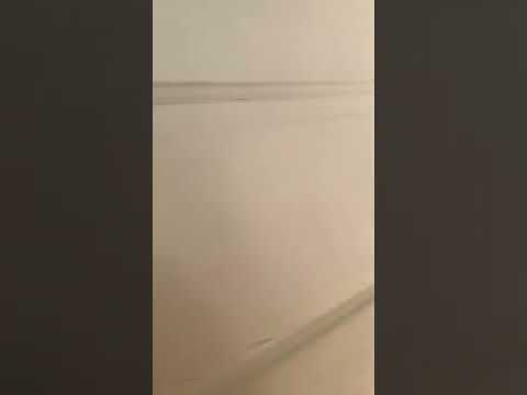 1742-44 N Pulaski St - Video 2 of 2