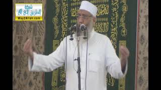 ألهاكم التكاثر | الشيخ شوقي عبد الصادق image