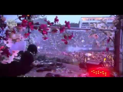 Skrillex Tomorrowland 2012 Part 1