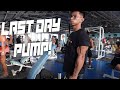 LAST DAY PUMP | 1 DAY OUT BEFORE SHOW DAY | 500 ML WATER INTAKE