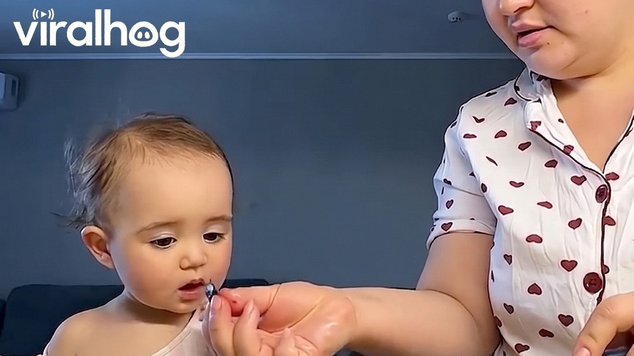 Toddler Taste Testing || ViralHog