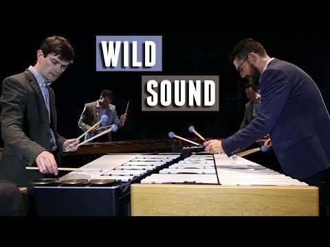 Third Coast Percussion - "Wild Sound" by Glenn Kotche