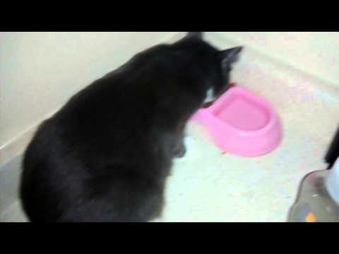 Happy Birthday Wilma!