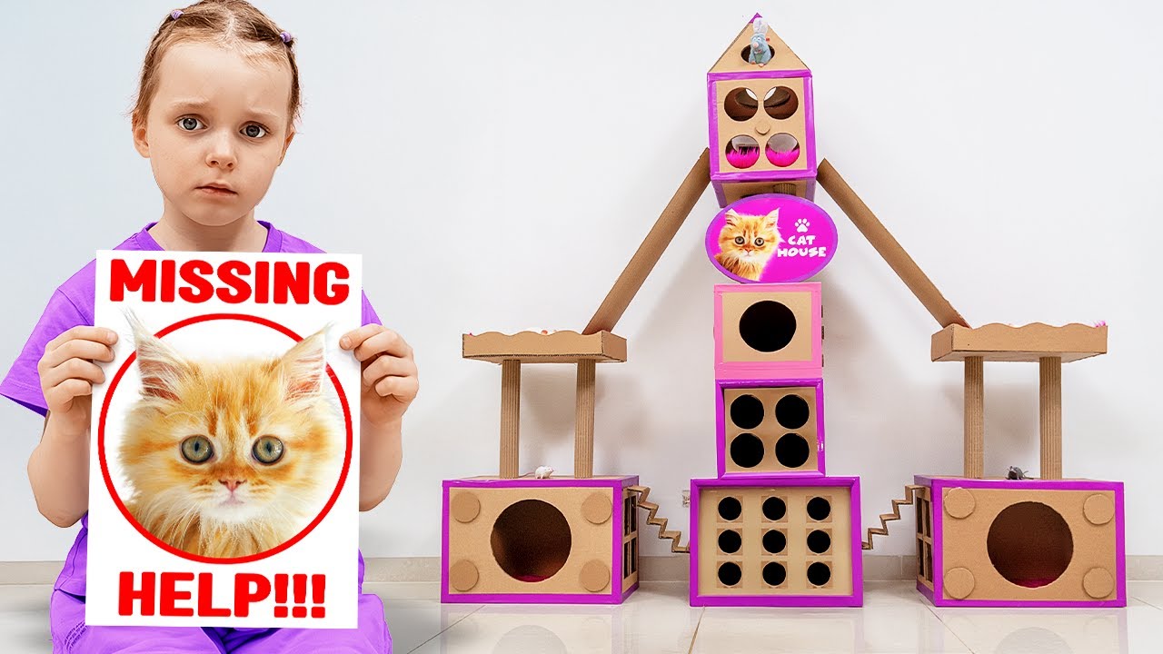 Finding the Lost Kitty: Building a Cozy Cat House with Vania Mania Kids