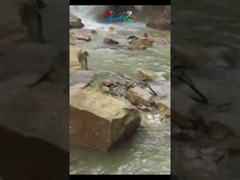 La cascada escondida que los turistas nunca encuentran #merida #venezuela