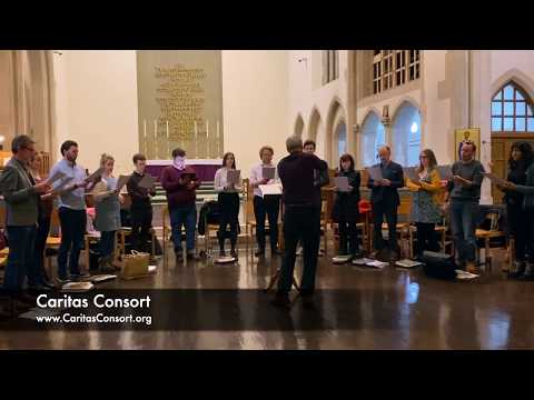 Versa Est In Luctum - Alonso Lobo