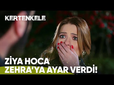 Ziya hoca hocalıktan çıktı - Kertenkele 10. Bölüm