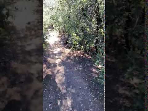 hiking the trails
