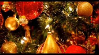 christmas dreaming    Frank sinatra    꽃살강