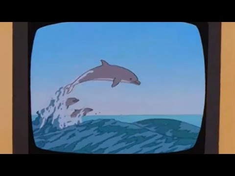 Hank Has to Watch ‘A Dream of Dolphins’