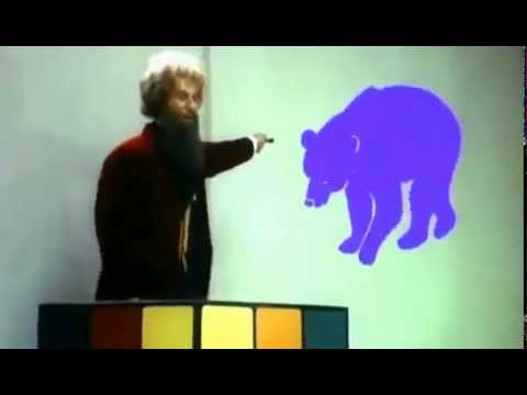 DZIK JEST DZIKI DZIK JEST ZŁY! Dzik ma bardzo ostre kły! Akademia Pana Kleksa - Zoo - Jan Brzechwa