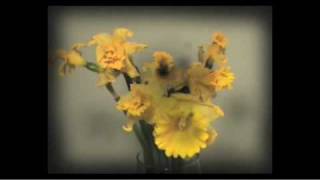 The Joy Formidable - Chwyrlio