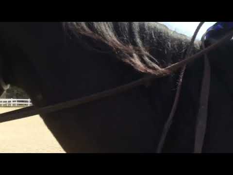 Training session - May 8, 2022