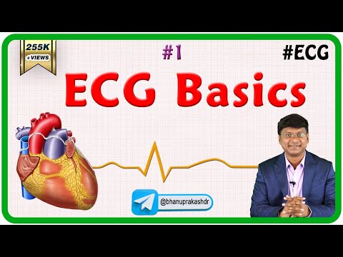 1. ECG Basics - ECG assessment and ECG interpretation made easy