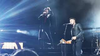 Michael Patrick Kelly, Lazarus