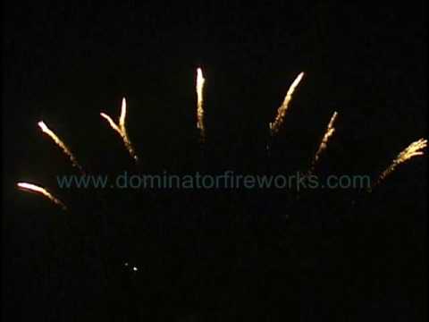 DM091016 25 PFX13FR 2