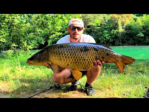 CARP HUNT WITH BREAD