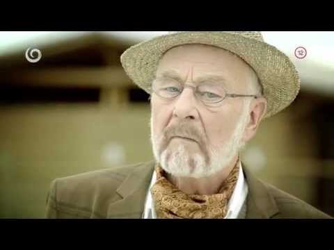 DIVOKÉ KONE II. (1)