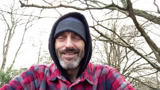 The Pleiadean Blue Rose