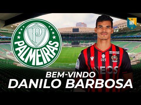 Danilo Barbosa - Bem Vindo ao Palmeiras? | SKILLS E GOLS |