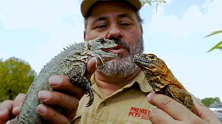 Inside the World's Largest Reptile Zoo! 🤯🦎