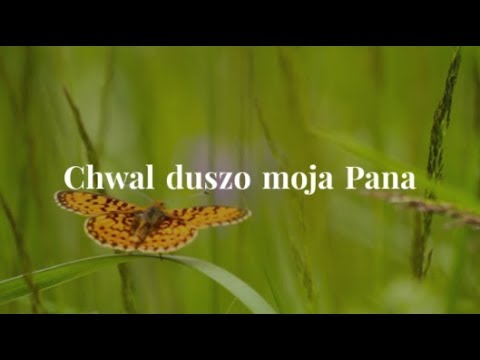 Tyko Jezus - Chwal duszo moja Pana