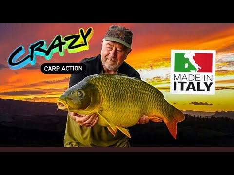 Crazy Carp Action   Made in Italy
