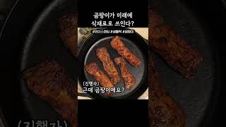 곰팡이로 만든 베이컨