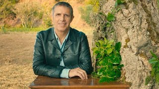 Sous mon arbre Music Video