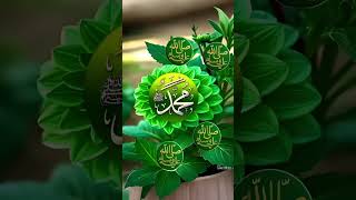 mashallah heart emoticon heart touching 🥀🥀🥀🥀🥀🥀🥀🥀🥀 #viralshort #love #foryou #islamicshorts