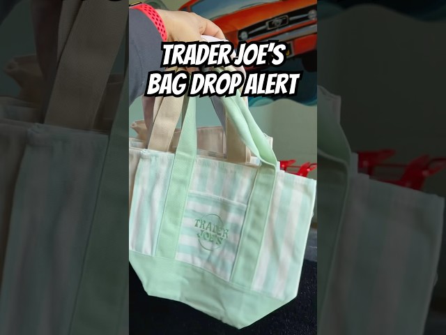 Vídeo relacionado con Functon+ Antagonist Character Attributes Canvas Tote Bag/Atributos del personaje antagonista Bolso de mano de lona, beige