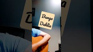 Download lagu Bunga Dahlia mp3