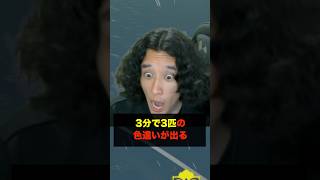 3分で3匹の色違いが出る奇跡の大フィーバーが起きたんだが