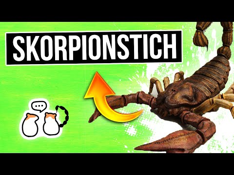 Was solltet ihr tun, wenn ihr von einem Skorpion gestochen werdet [Überlebensfähigkeiten]