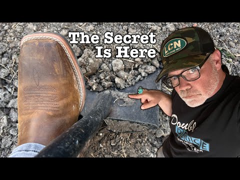 The Actual Right Way To Get Rid Of Lawn Weeds - Weed Control Strategy Explained