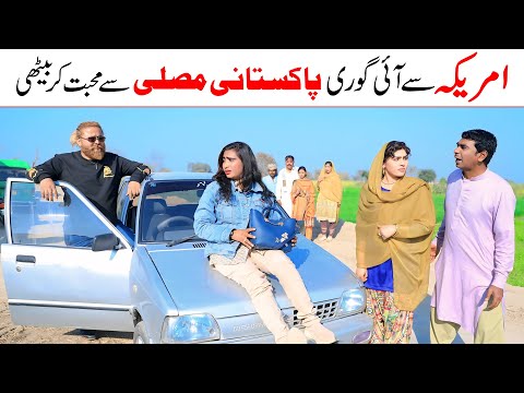 American Woman | Cheba | Ramzi,Noori, Bilo ,Bhootna,Shoki, Sanam, Falak Sher,Funny Video Rachnavi Tv