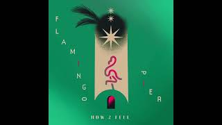 Flamingo Pier - How 2 Feel video