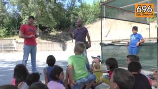 al-campo-solare-con-i-falconieri