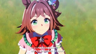 【ウマ娘】ショウナンパントル　04年阪神ジュベナイルフィリーズ　3頭並んだ～～～！！！　実況　石巻ゆうすけ　吉田豊　ラインクラフト　福永祐一　アンブロワーズ　デアリングハート
