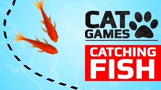 Download lagu CAT GAMES CATCHING FISH... mp3